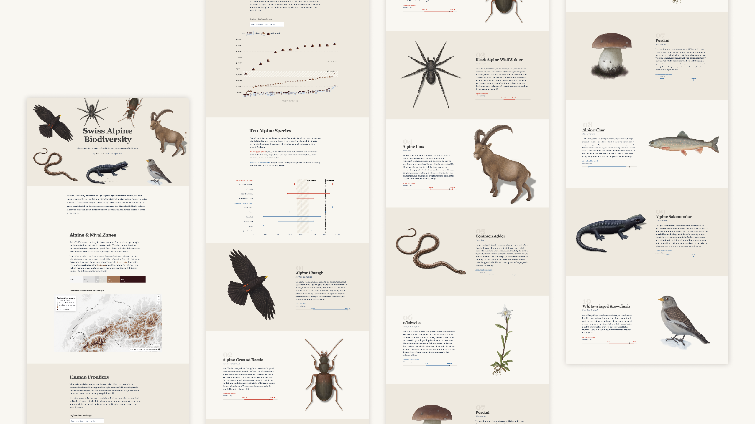Biodiversity in Switzerland illustration